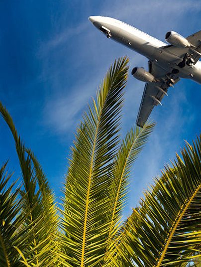 FLight at best Price